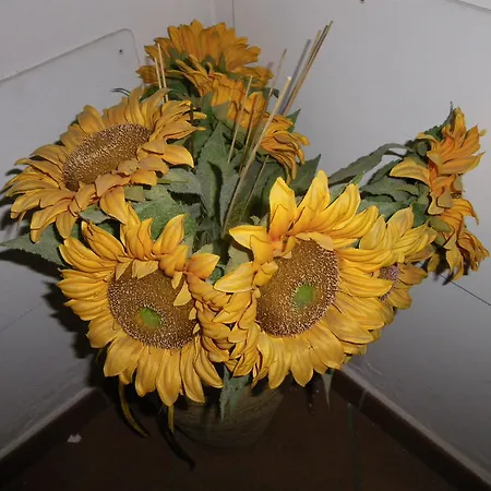 בית הארחה Il Rustico Grammichele