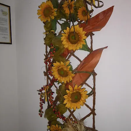 Il Rustico Grammichele